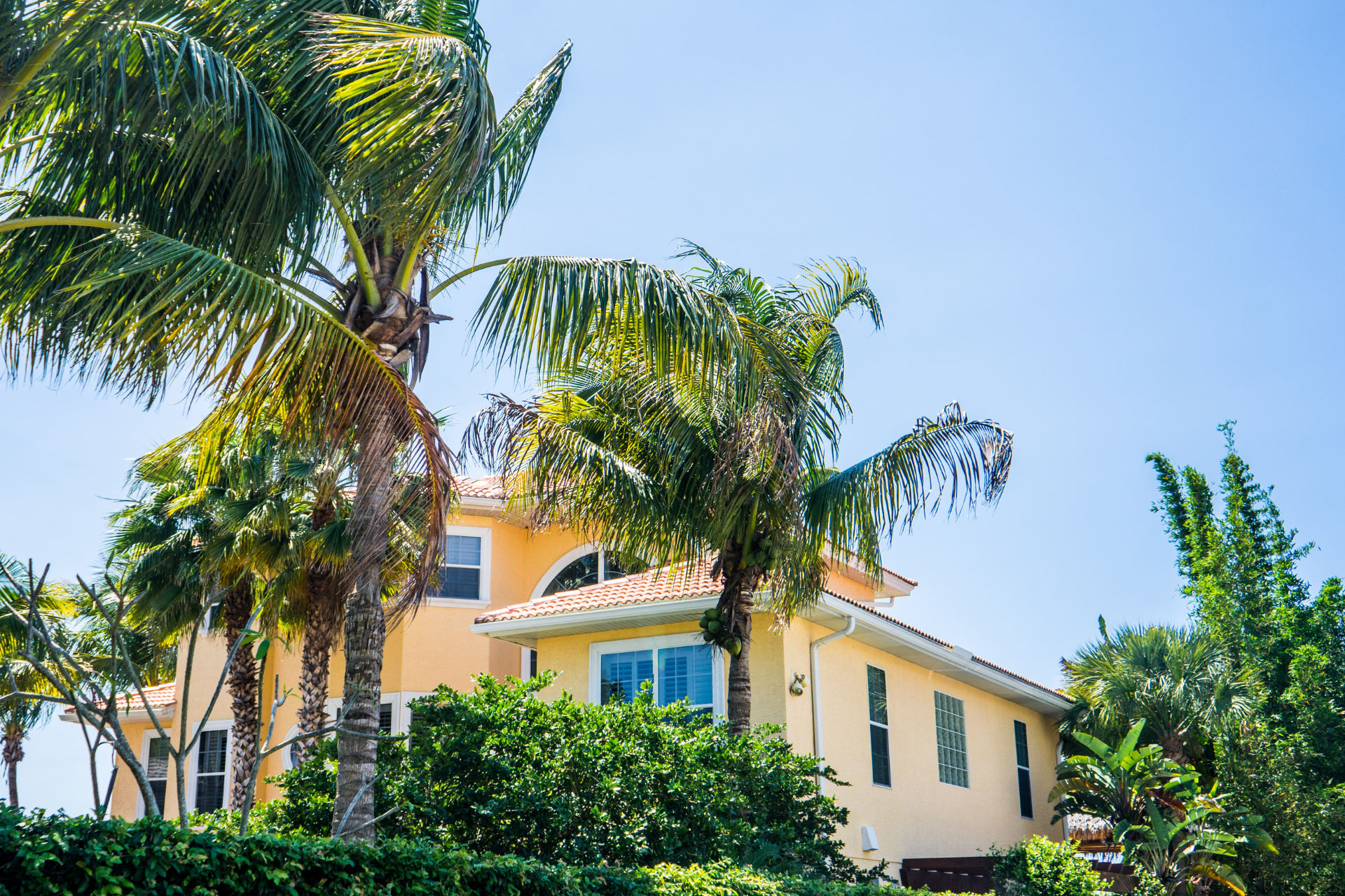 Home with palm trees in front