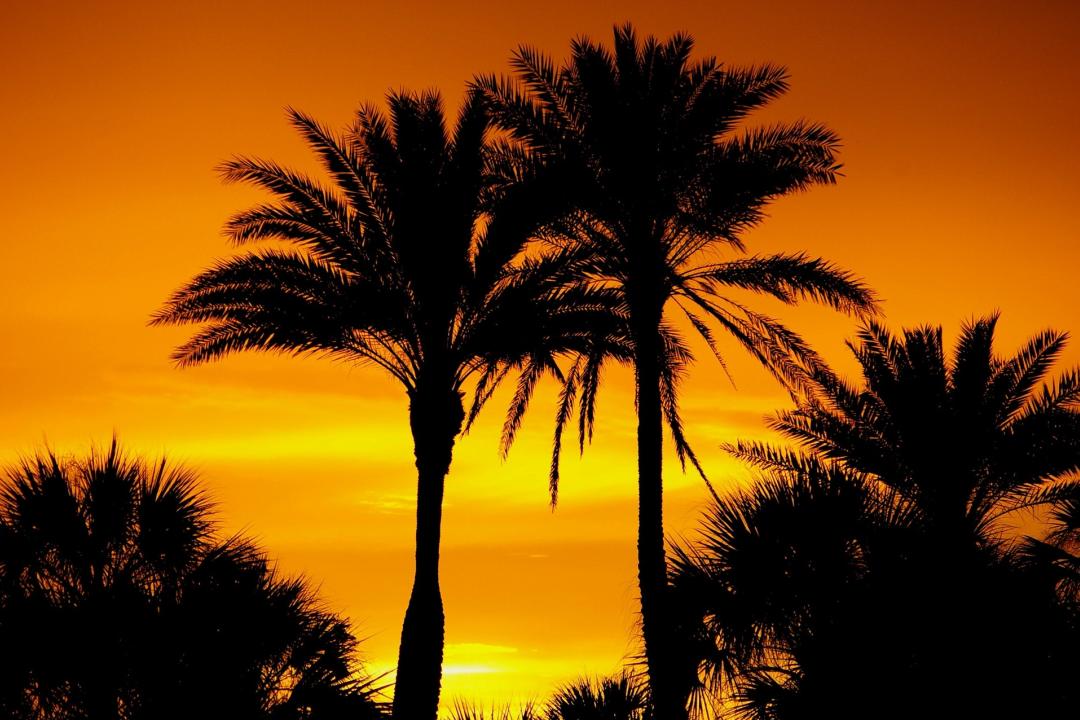The Ultimate Guide to Relocating to South Florida 