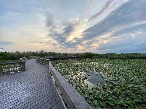 Century Village Pembroke Pines